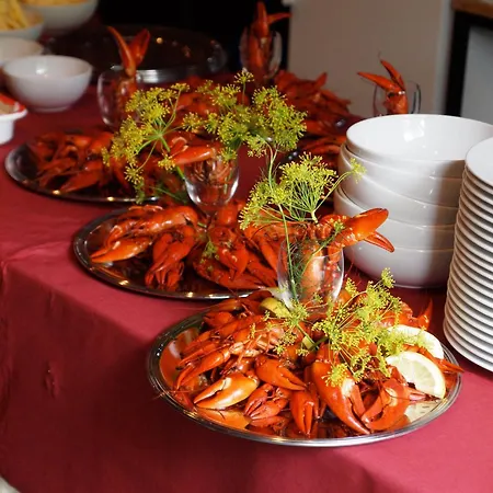 Kyyhkylae Wellbeing 4* Mikkeli