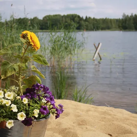 Kyyhkylae Wellbeing