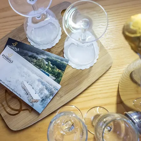 Kyyhkylae Wellbeing Hotel